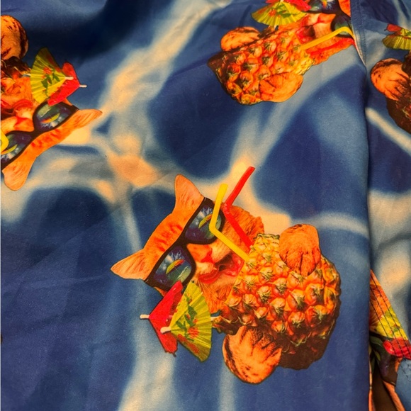 Men’s Swim Trunks Size XL (18) bioworld - Picture 12 of 12